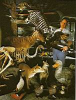 Iain Bishop prsente une collection d'animaux frapps d'extinction